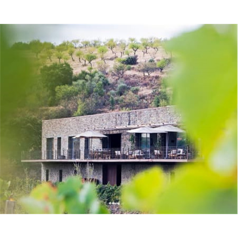 Prova de Vinhos no Douro a Dois na Quinta Vale do Sabor