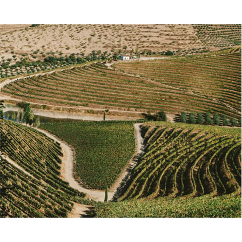 Prova de Vinhos no Douro a Dois | Vale D. Mariann(O título tem 39 caracteres)