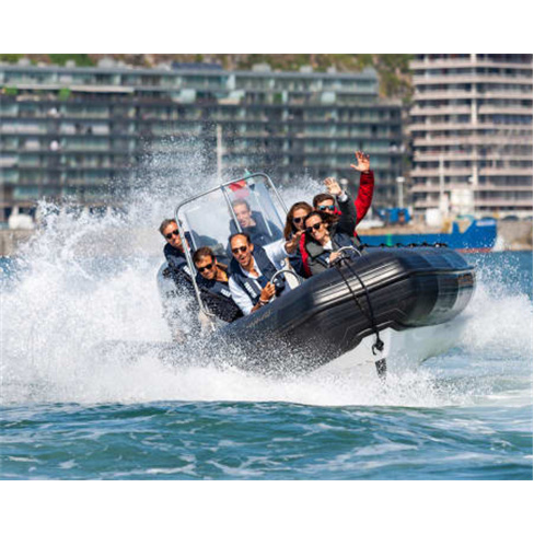 Aventura: Speedboat pelas 6 Pontes do Douro | BBDouro