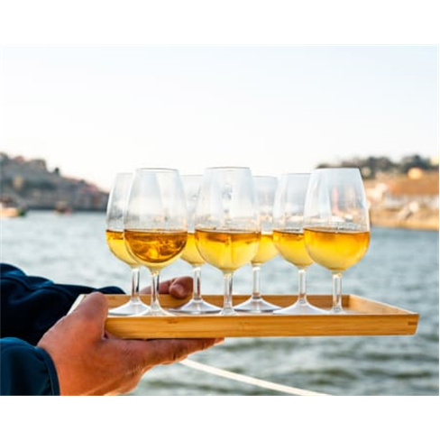 Passeio de Veleiro no Rio Douro | BBDouro Passeio de Veleiro