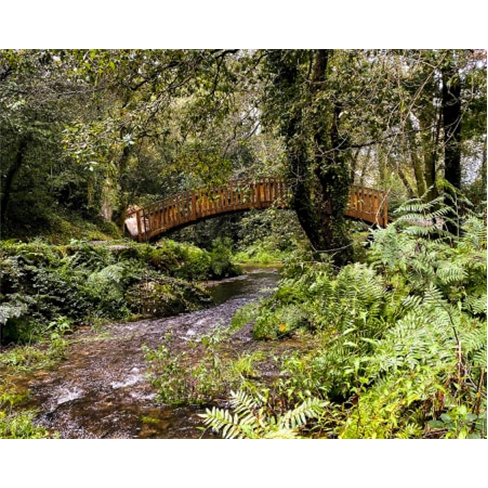 Trekking no Centro | Tour 7 Saias Leiria | Sem Guia (46 caracteres)