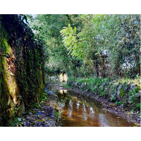 Exploração no Centro | Leiria e Alvados com Guia. (49 caracteres)