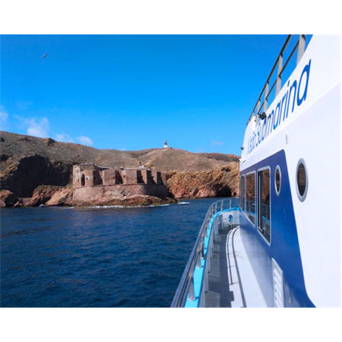 Passeio de Catamaran com "Fundo de Vidro" em Peniche com Desembarque nas Berle