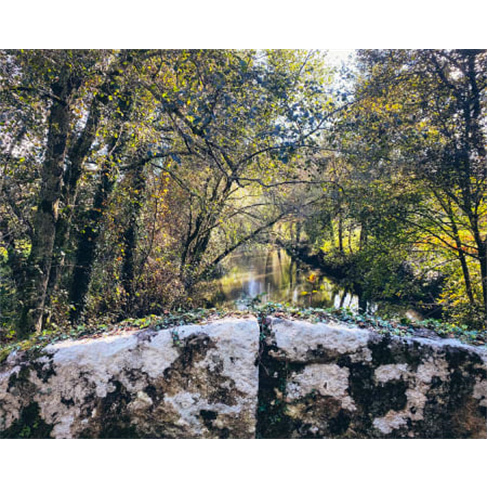 Exploração no Centro | Leiria e Alvados com Guia. (49 caracteres)
