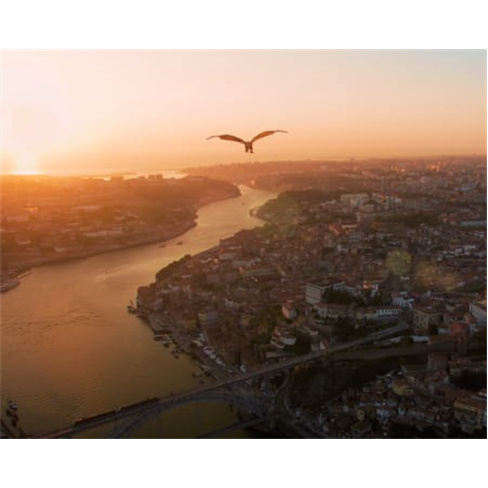 Bilhete Família para Cinema 5D em Porto e Vila Nova de Gaia - Look at Porto