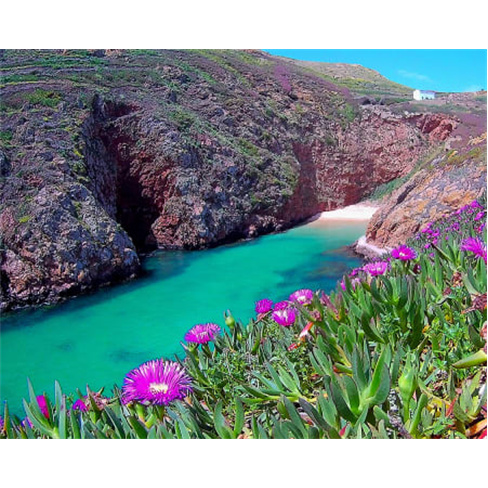 Passeio de Catamaran com "Fundo de Vidro" em Peniche com Desembarque nas Berle