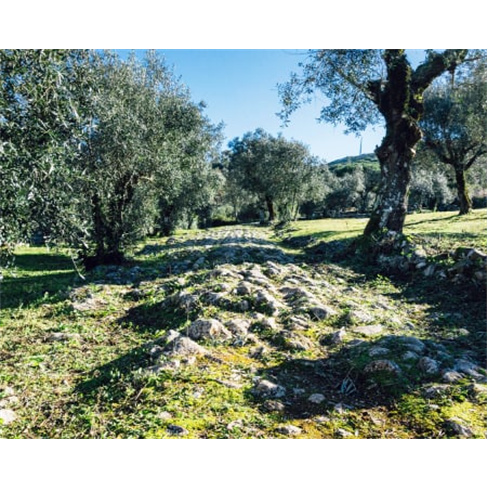 Caminhada no Centro de Portugal: Rota Alvados - Fórnea | Sem Guia