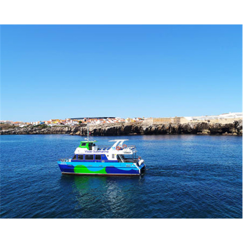 Passeio de Catamaran com "Fundo de Vidro" em Peniche com Desembarque nas Berle