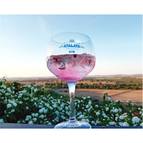 Workshop «Como Criar o Seu Gin» | 4 Horas | Destilaria Atalaya Gin - Campo Mai