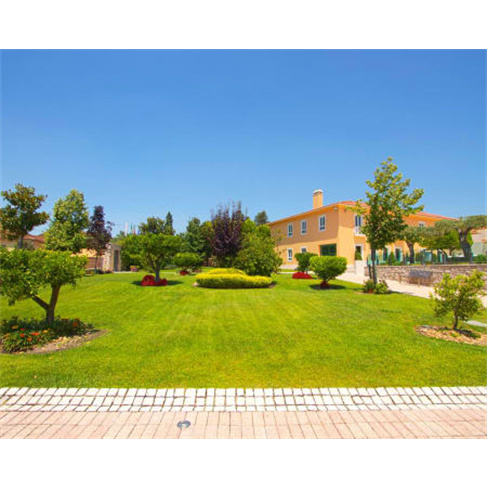Relaxa com Massagem à Escolha na Casa da Amieira 4* | Santarém 50Min.