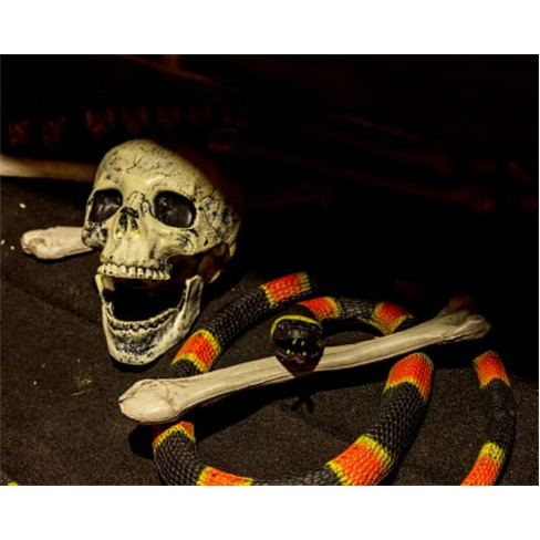 Mission To Escape - Alameda Shop&Spot | Escape Room no Porto Experiência para A