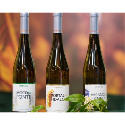 Descobre Monção: Caminhada Histórica com Degustação de Vinhos | Para Dois
