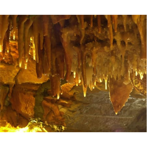 Explora Grutas da Moeda em São Mamede & Centro Fátima | Adulto