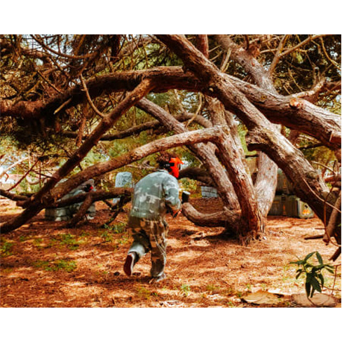 Aventura Radical em Sintra: Azen Park e Paintball em São João | Até 10 Pessoa