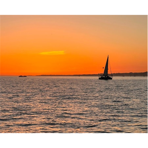 Veleiro Privado no Tejo | 2h | 6 Pessoas | Sunsets TejonCaracteres: 56
