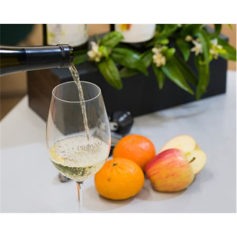 Visita e Prova de Vinhos | Provam - Monção Prova de Vinhos Versátil