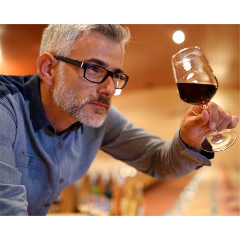 Vin&Wine | Prova de Vinhos em Casa ou Winebar | Lisboa ou Cascais
