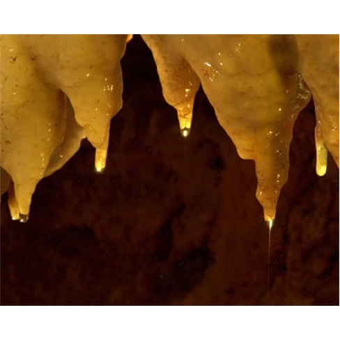 Explora Grutas da Moeda em São Mamede & Centro Fátima | Adulto