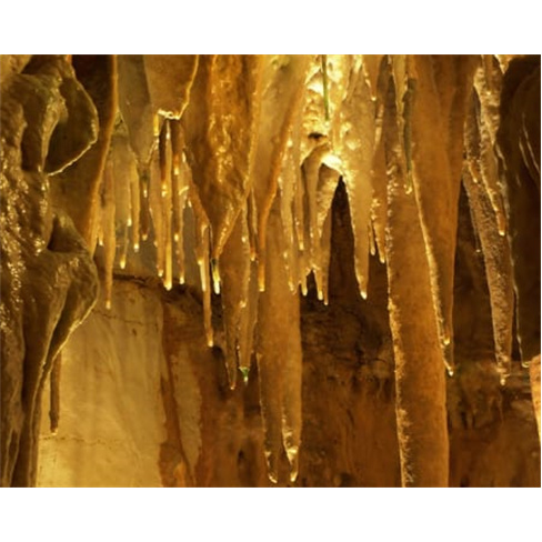 Explora Grutas da Moeda em São Mamede & Centro Fátima | Adulto