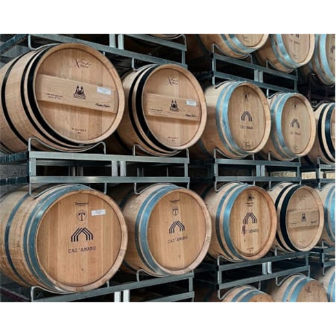 Visita à Adega e Prova de Vinhos Biológicos em Alenquer: 4 vinhos para degusta