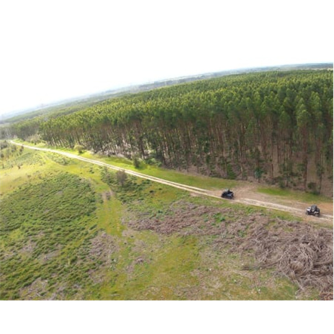 Passeio de Buggy na Costa Vicentina | Tour Sunset SW Emotions (53 caracteres)