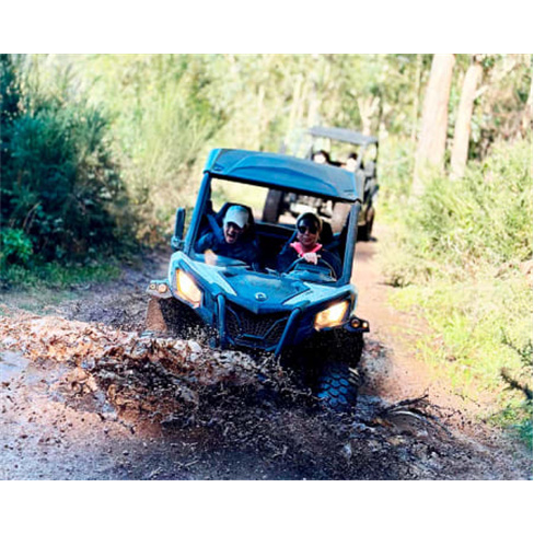 Passeio de Buggy para Dois | Madeira Radical