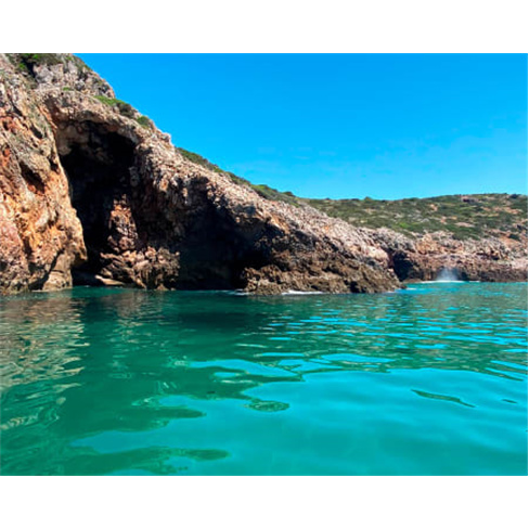 Passeio de Barco com Golfinhos e Grutas em Sagres - Adultonn(55 caracteres)