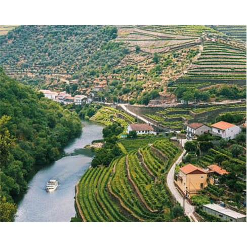 Cruzeiros no Rio Douro | 10 Experiências à Escolha