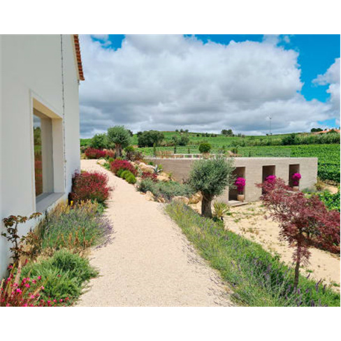 Visita à Adega + Prova Premium 6 Vinhos | Cas'Amaro, Alenquer.