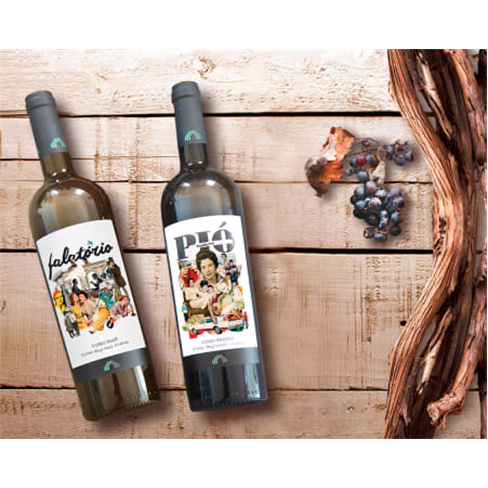 Vinhos e Almoço