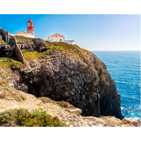 Passeio de Barco com Golfinhos e Grutas em Sagres - Adultonn(55 caracteres)