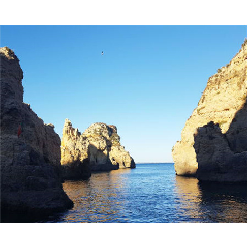 Passeio de Barco com Observação de Baleias | Cape Cruiser - Sagres