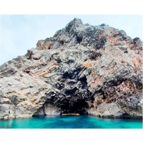 Passeio de Barco com Golfinhos e Grutas em Sagres - Adultonn(55 caracteres)