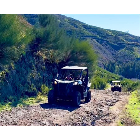 Passeio de Buggy para Dois | Madeira Radical