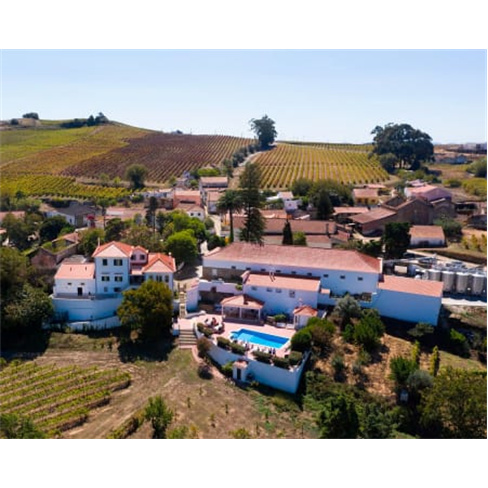 Prova de Vinhos na Quinta da Folgorosa - Torres Vedras: Degustação e Visita