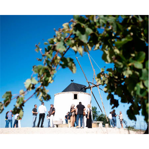 Prova de Vinhos na Quinta da Folgorosa - Torres Vedras: Degustação e Visita