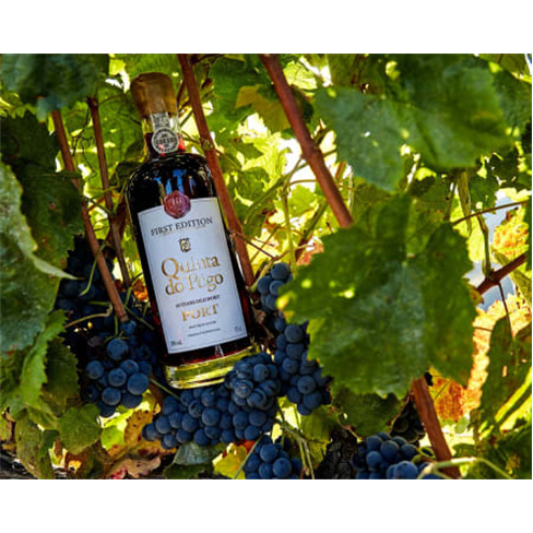 Quinta Do Pégo | Prova de Vinhos para Dois - Vila Real Prova Comentada
