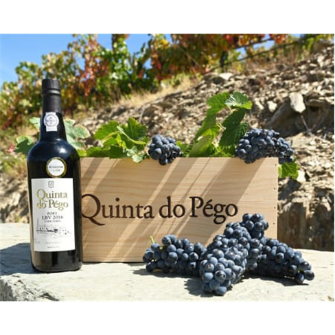 Quinta Do Pégo | Prova de Vinhos para Dois - Vila Real Prova Comentada
