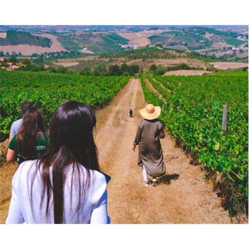 Prova de Vinhos na Quinta da Folgorosa - Torres Vedras: Degustação e Visita