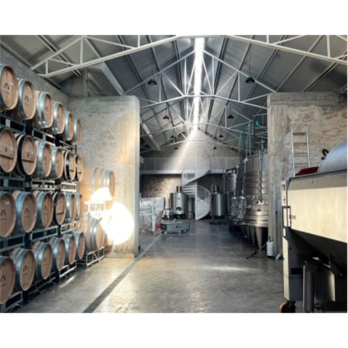 Visita à Adega e Prova de Vinhos Biológicos em Alenquer: 4 vinhos para degusta