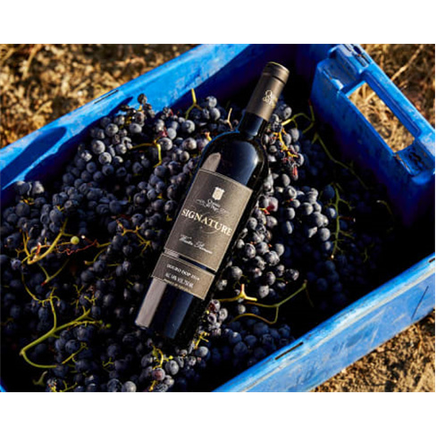 Quinta Do Pégo | Prova de Vinhos para Dois - Vila Real Prova Comentada