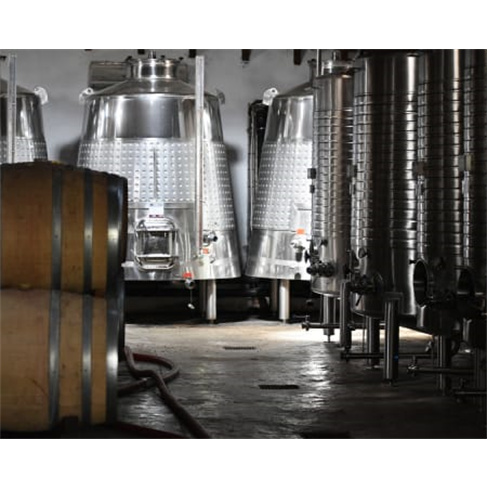 Prova de Vinhos | Adega do Convento do Paraíso - Silves Euphoria Wine Tour