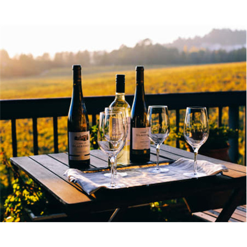 Descoberta Vinho + Casa Vilacetinho - Caminhada Guiada