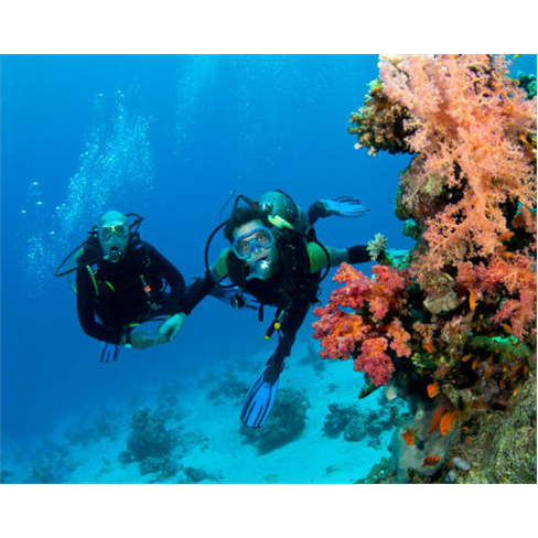 Batismo de Mergulho | Tribemar Scuba Diving - Sesimbra Batismo Mergulho | Mar