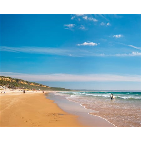 Aula de Surf na Praia da Fonte da Telha com Almoço - Swara Surf School | Almada
