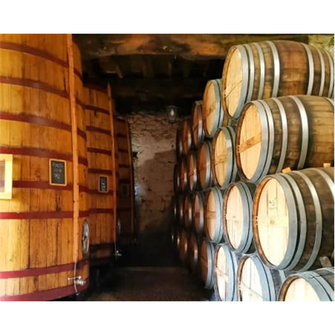 Prova de Vinhos | Quinta do Tedo - Viseu Prova de Barricas e Portos Tawny