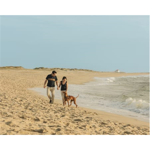 Fotos com Animal em Vila Nova de Gaia para 2 Pessoas (59 caracteres)