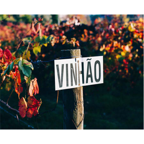 Descoberta Vinho + Casa Vilacetinho - Caminhada Guiada