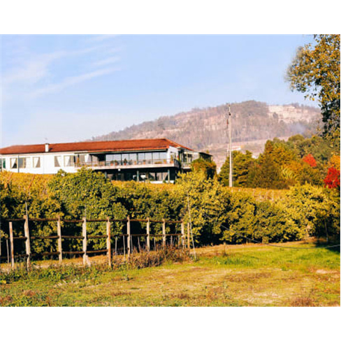 Descoberta Vinho + Casa Vilacetinho - Caminhada Guiada