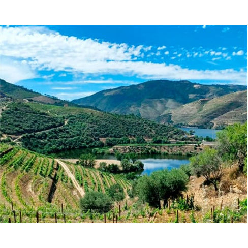 Prova de Vinhos | Quinta do Tedo - Viseu Prova de Barricas e Portos Tawny